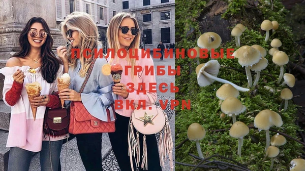 скорость Бронницы
