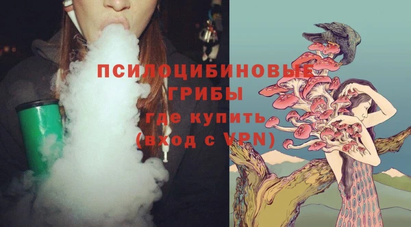 скорость Бронницы