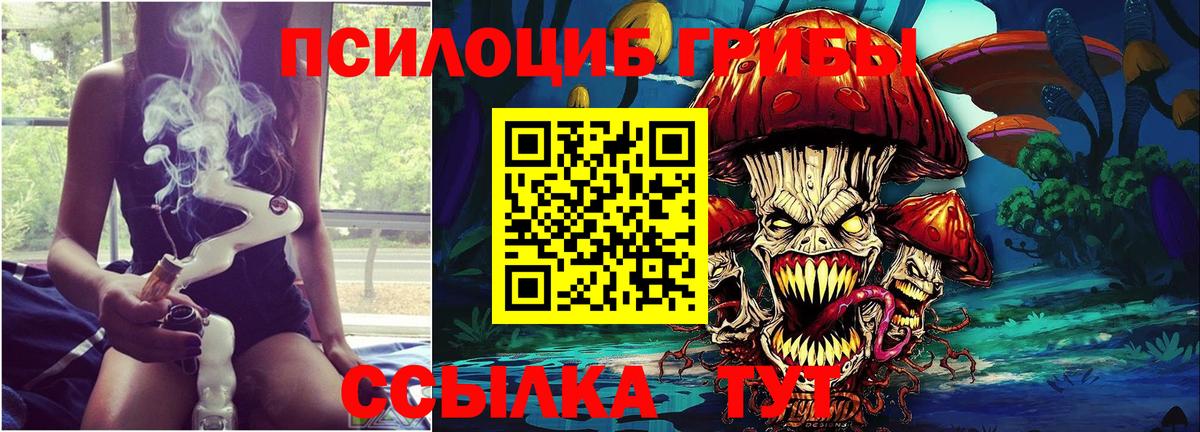 Ивантеевка  Псилоцибиновые грибы MAGIC MUSHROOMS  Вход с VPN 