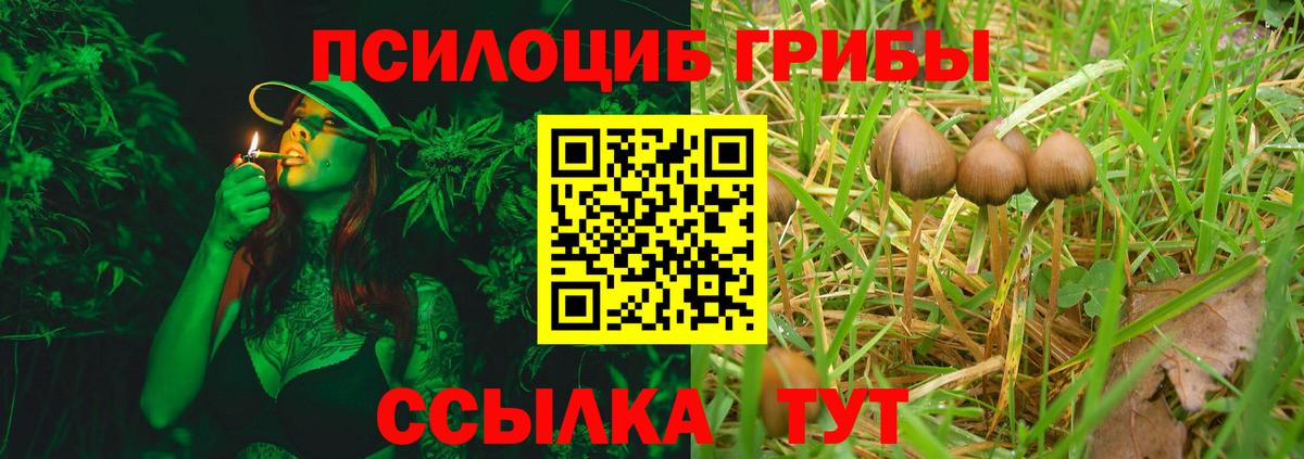 Псилоцибиновые грибы мицелий Ивантеевка